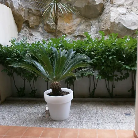 The Aparthotel
